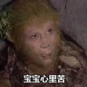 猴年搞笑句子,趣味横生的搞笑句子大盘点