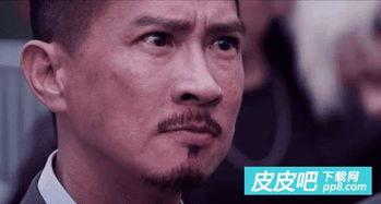 何文辉 表情包,趣味横生的网络文化现象