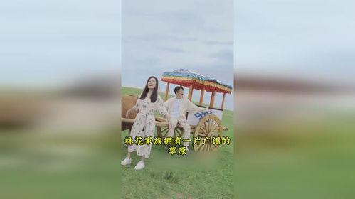 歌手玲花背景,从草原歌者到华语乐坛璀璨星辰