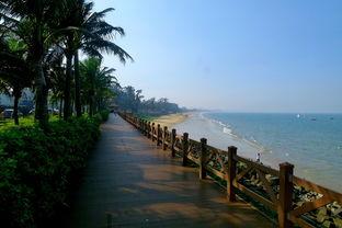 印象海南岛的背景