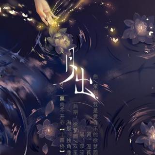 月出双笙创作背景,穿越时空的旋律与传奇