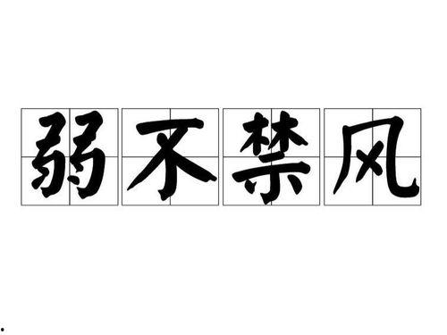 弱不禁风的图片